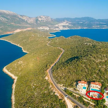 Phellos * Yeniköy